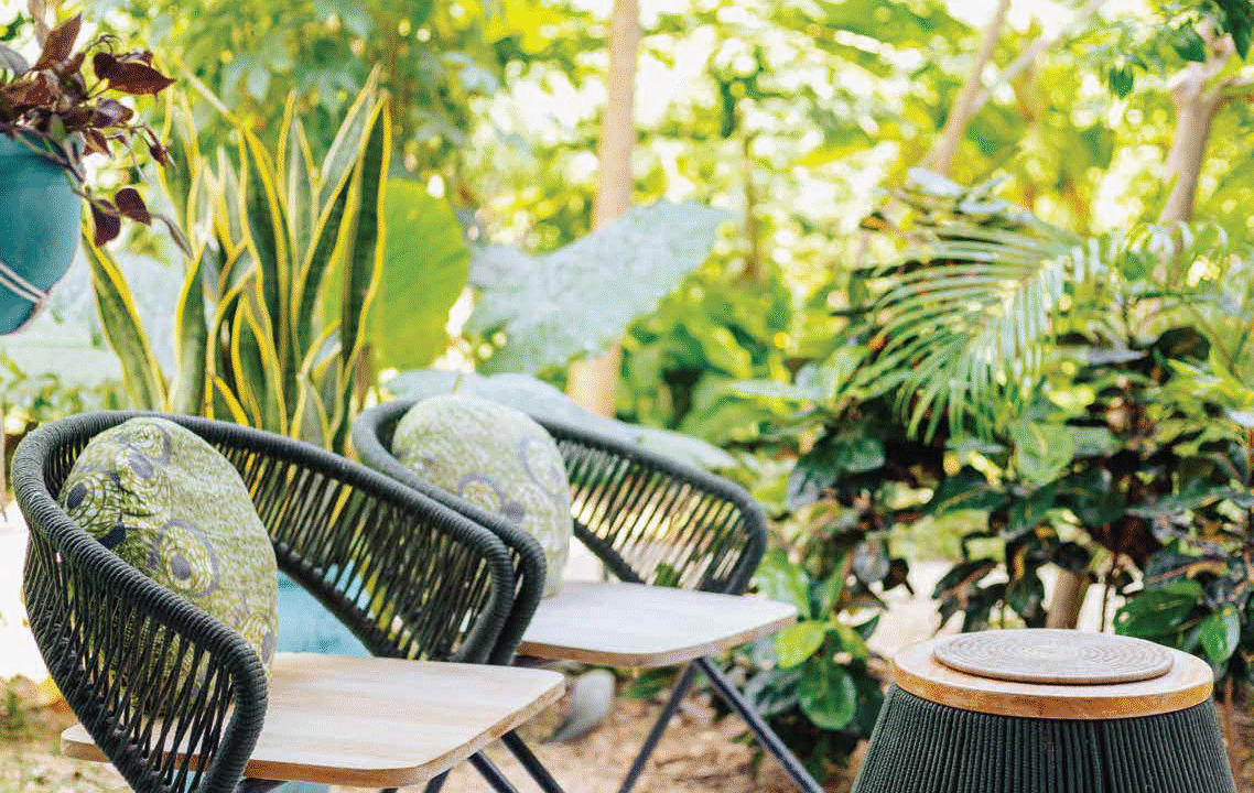 a1_Page_05_Image_0001