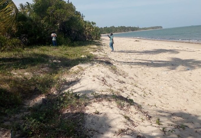 Nice white sands beach plot at saadani national park