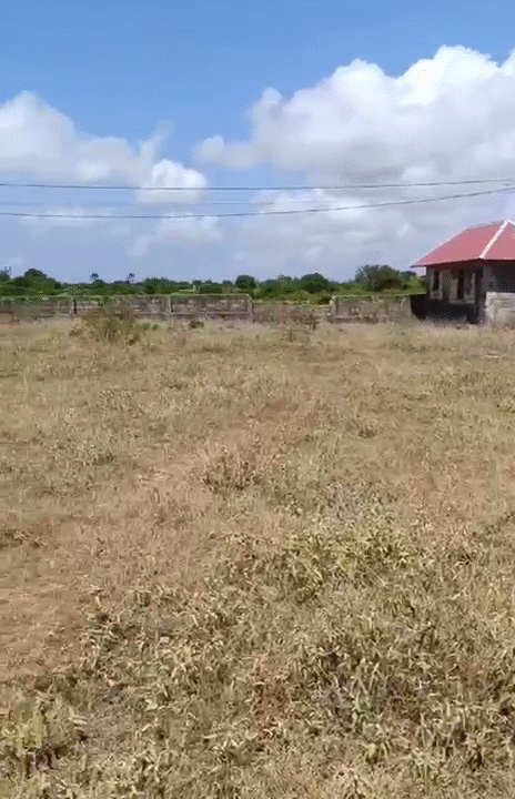 vlcsnap-2025-10-22-17h16m16s035