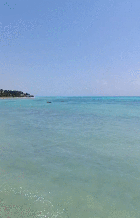 vlcsnap-2025-10-22-17h16m48s992