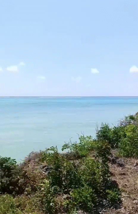 vlcsnap-2025-10-22-17h17m43s653