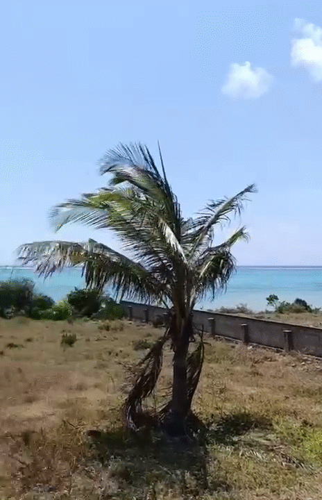 vlcsnap-2025-10-22-17h18m23s396